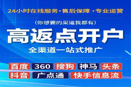 百度竞价SEM策略解析：某品牌广告成功的关键因素